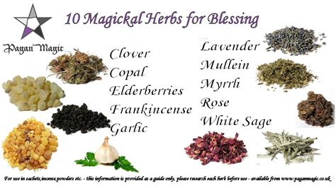 New Age herbal spell guide